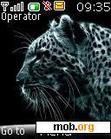 Download mobile theme BLACK TIGER