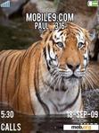 Download mobile theme Tiger in water