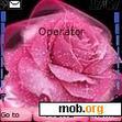 Download mobile theme pink rose