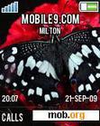 Download mobile theme butterfly