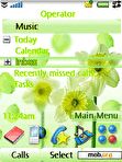Download mobile theme Flower (01)