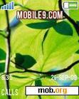 Download mobile theme Green Theme