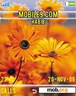 Download mobile theme SunFlower