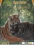 Download mobile theme Tiger by Ems