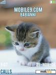 Download mobile theme Cute Kittens