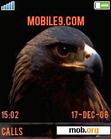 Download mobile theme eagle