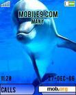 Download mobile theme Dolphins