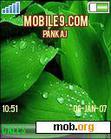 Download mobile theme green_blush