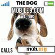 Download mobile theme the dog