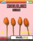 Download mobile theme Tulip