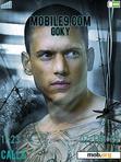 Download mobile theme Prison Break