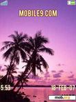 Download mobile theme Palm_trees