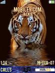 Download mobile theme Tiger1