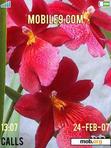 Download mobile theme Flowers