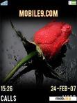 Download mobile theme Rose