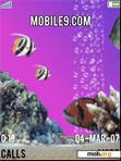 Download mobile theme MyPurpleAquarium