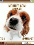 Download mobile theme dog puppies