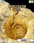 Download mobile theme Fossils