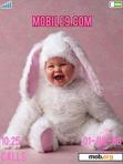 Download mobile theme Baby Rabbit