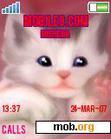 Download mobile theme Cat