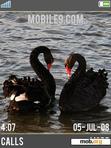 Download mobile theme SwansSimple