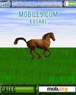 Download mobile theme HORSE-animated