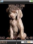 Download mobile theme Chocolate Labrador