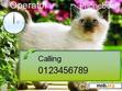 Download mobile theme catpsa13sixe61i