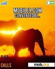 Download mobile theme africa w810i