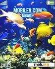Download mobile theme Aqua Land