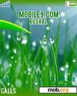 Download mobile theme GRASS