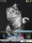 Download mobile theme cat22