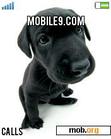 Download mobile theme SweetDogs