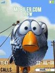 Download mobile theme Bird life