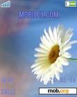 Download mobile theme daisy