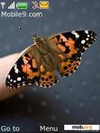 Download mobile theme Beautiful Butterfly