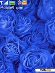 Download mobile theme ROSES