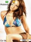 Download mobile theme Kim sharma