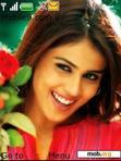 Download mobile theme Genelia