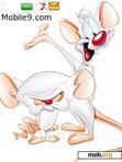 Download mobile theme Pinky and the Brain