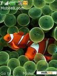 Скачать тему clownfish