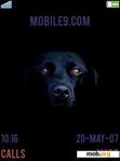 Download mobile theme BlackDog