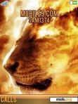 Download mobile theme Animated Fire Tiger