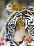 Download mobile theme TIGERS