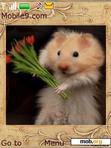 Download mobile theme hamster