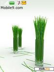 Download mobile theme Green sticks