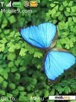 Download mobile theme Butterfly - Morpho