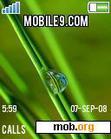 Download mobile theme dew drop