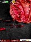 Download mobile theme Rosas rojas