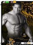 Download mobile theme BATISTA